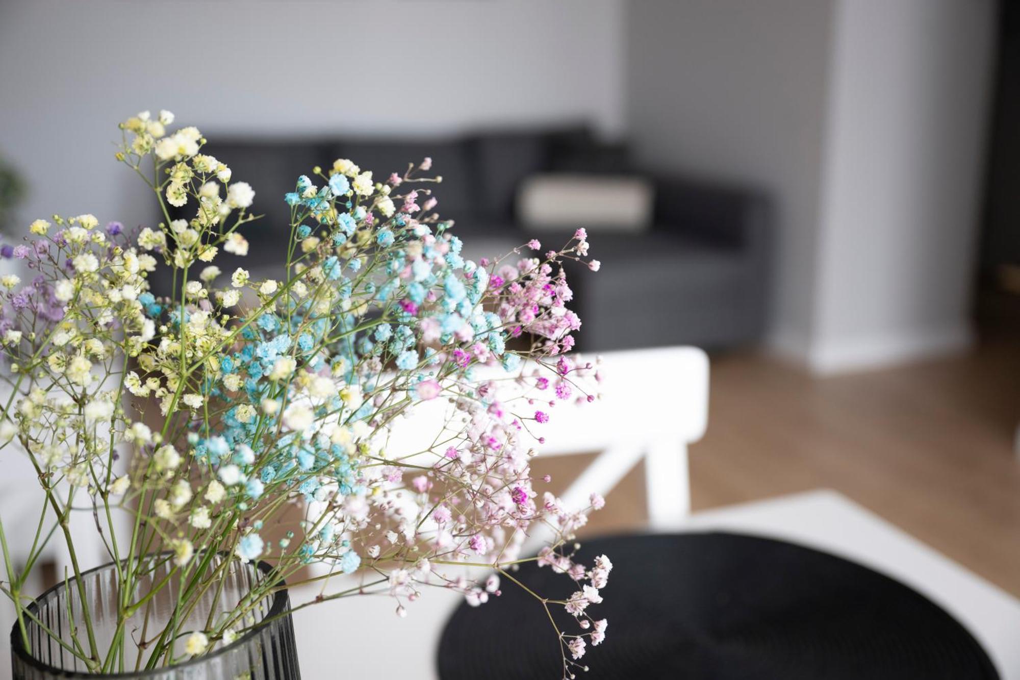 Apartamenty Deluxe Gdańsk Buitenkant foto